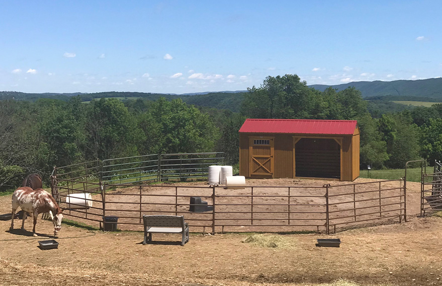 horse-and-shelter