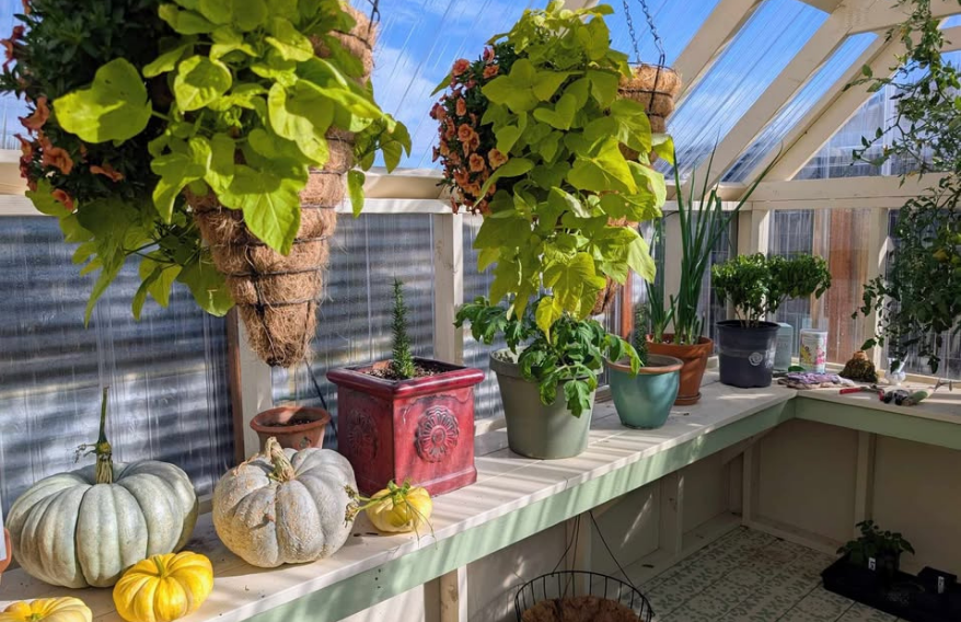 EndUse_Greenhouse_NavajoWhite_EricAmyWatkins2_EDITED